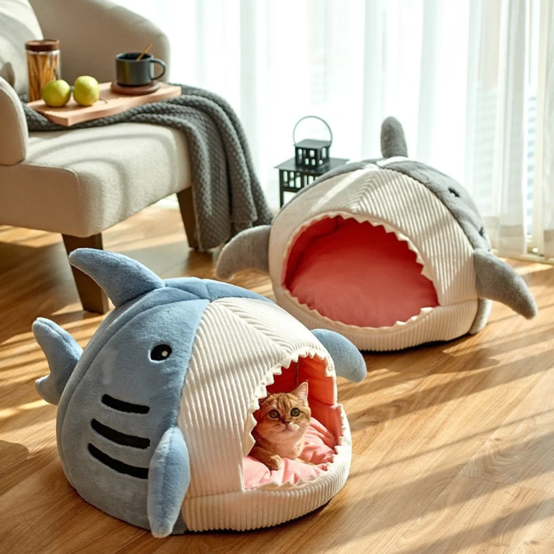 The Shark Bed