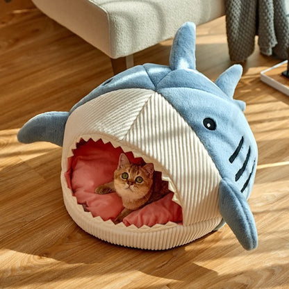 The Shark Bed