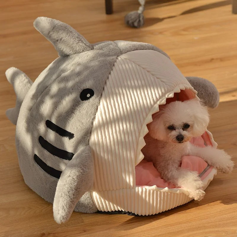 The Shark Bed