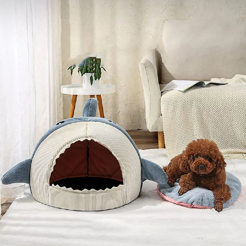 The Shark Bed