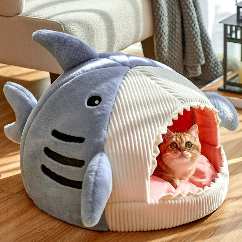 The Shark Bed