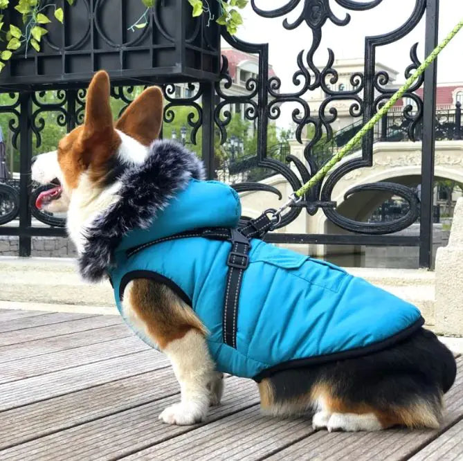 CozyPaws Winter Vest – Thickened Cotton Jacket with Warm Fur Collar