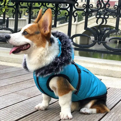 CozyPaws Winter Vest – Thickened Cotton Jacket with Warm Fur Collar