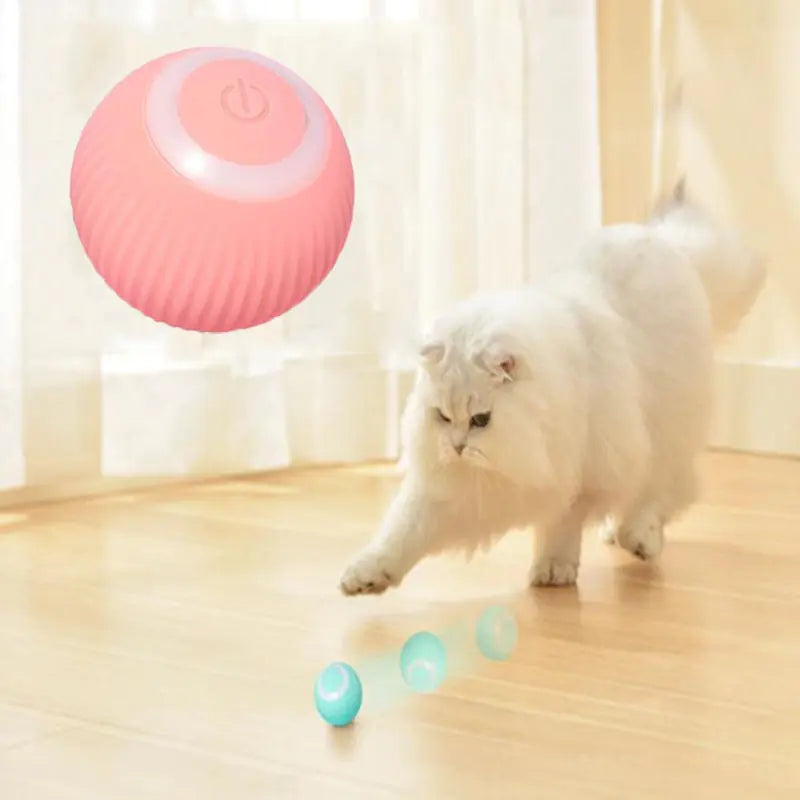 Interactive Electric Rolling Ball Toy